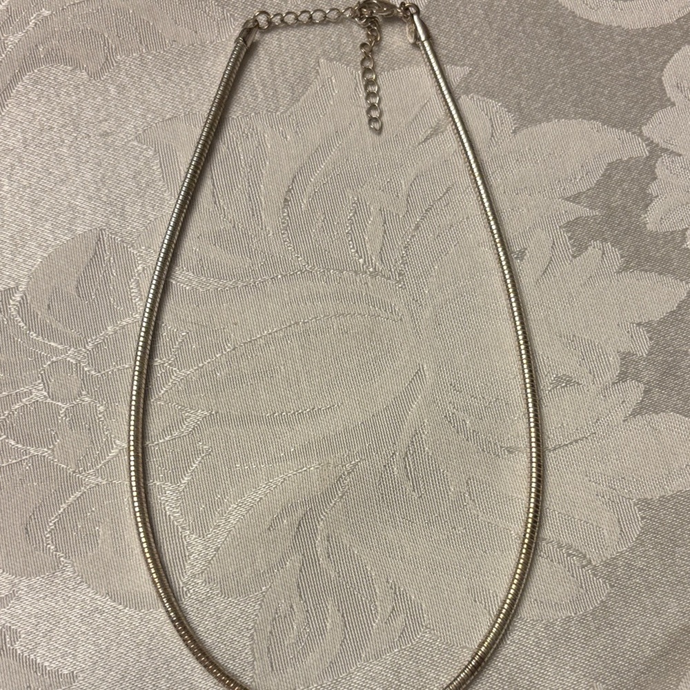 Premier Designs Silver Snake Chain Necklace